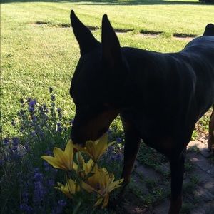 Meet your Posher, Carrie